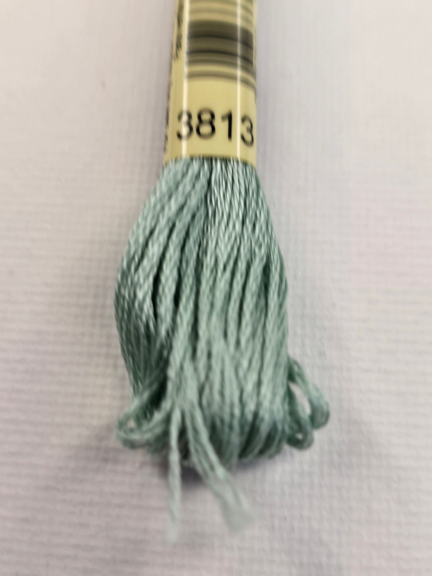 DMC Six-Strand Embroidery Floss – 3813