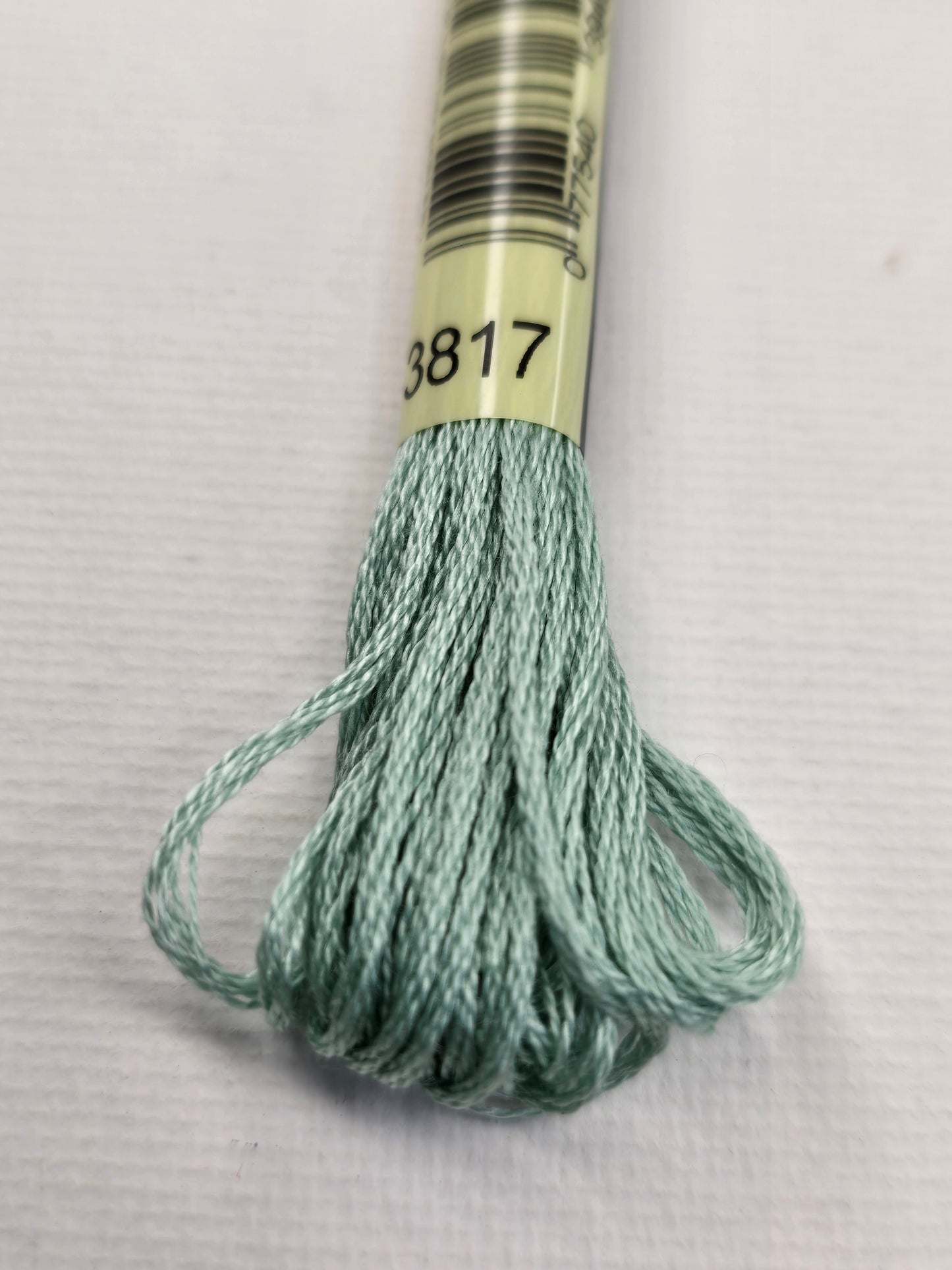 DMC Six-Strand Embroidery Floss – 3817