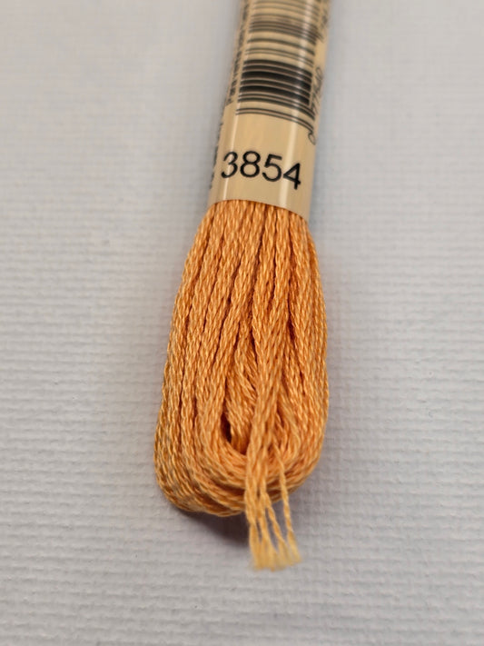 DMC Six-Strand Embroidery Floss – 3854